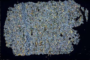 Cross Polarized, S51349