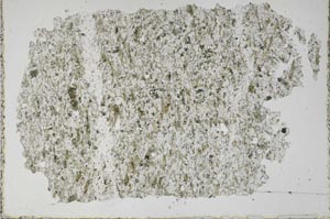 Plane Polarized, S51349