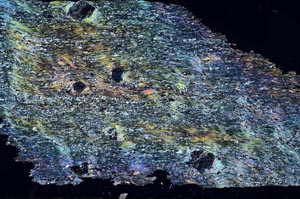 Cross Polarized, S51350