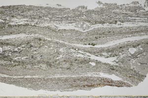 Plane Polarized, S51351