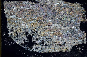 Cross Polarized, S51355