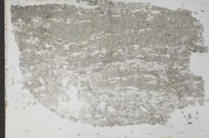 Plane Polarized, S51355