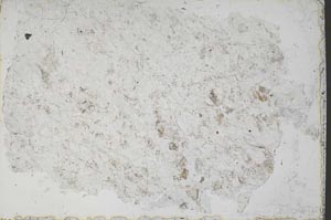 Plane Polarized, S51358