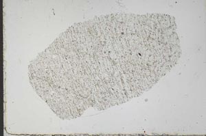 Plane Polarized, S51359