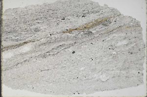 Plane Polarized, S51361