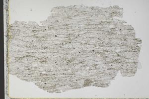 Plane Polarized, S51363