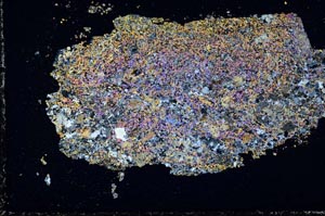 Cross Polarized, S51364