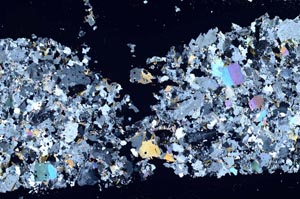 Cross Polarized, S51365