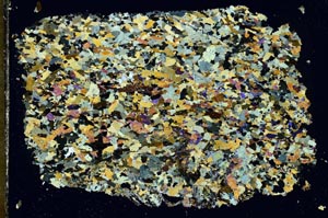 Cross Polarized, S51366