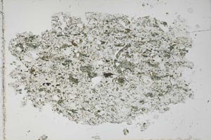 Plane Polarized, S51369