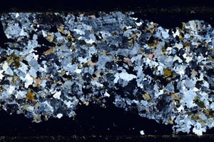 Cross Polarized, S51370