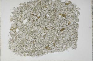 Plane Polarized, S51371