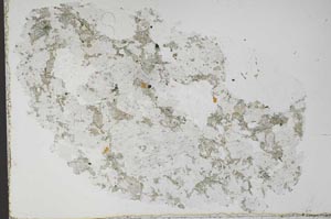 Plane Polarized, S51373