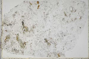 Plane Polarized, S51375