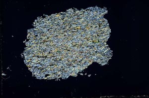 Cross Polarized, S51377