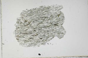 Plane Polarized, S51377