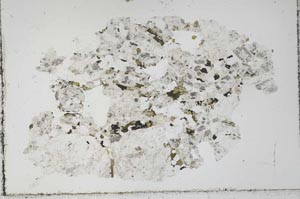 Plane Polarized, S51378