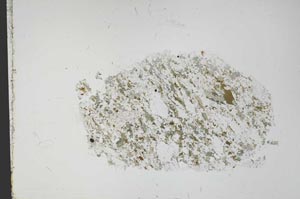 Plane Polarized, S51379