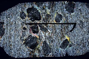 Cross Polarized, S51380