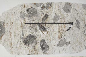 Plane Polarized, S51380