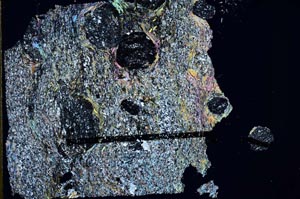 Cross Polarized, S51380/A