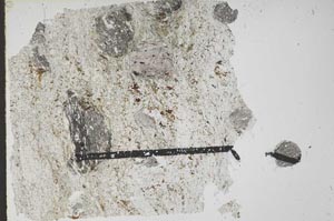 Plane Polarized, S51380/A