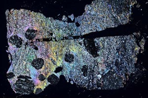 Cross Polarized, S51380/B