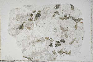 Plane Polarized, S51384