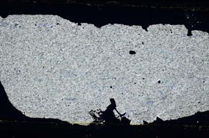 Cross Polarized, S51386