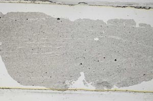 Plane Polarized, S51386