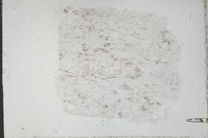 Plane Polarized, S51389