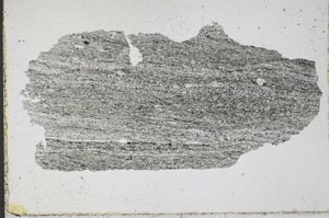 Plane Polarized, S51391