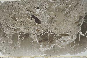 Plane Polarized, S51393