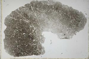 Plane Polarized, S51395