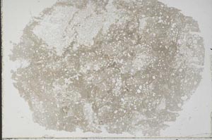 Plane Polarized, S51396