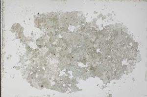 Plane Polarized, S51402