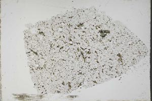 Plane Polarized, S51416