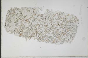 Plane Polarized, S51422