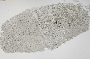 Plane Polarized, S51427