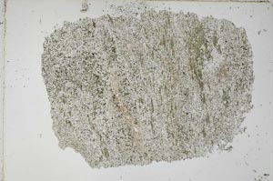 Plane Polarized, S51431