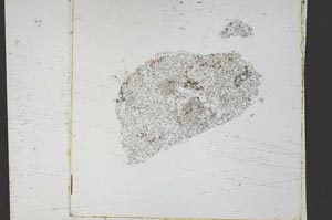 Plane Polarized, S51433