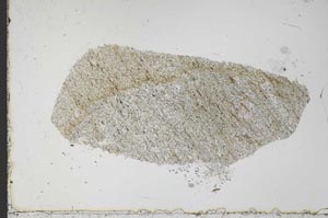 Plane Polarized, S51439