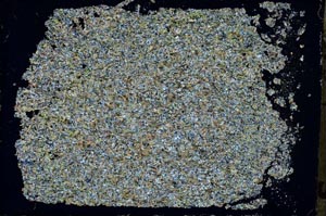 Cross Polarized, S51441