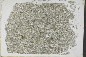 Plane Polarized, S51441