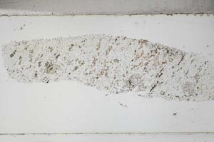 Plane Polarized, S51443