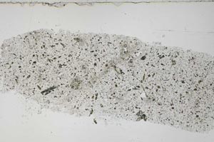 Plane Polarized, S51446