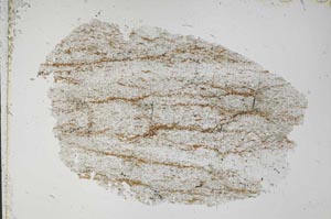 Plane Polarized, S51447