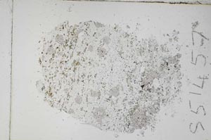 Plane Polarized, S51457