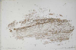 Plane Polarized, S51465