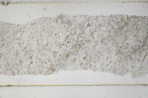 Plane Polarized, S51470